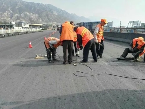 呼伦贝尔道路桥梁病害治理